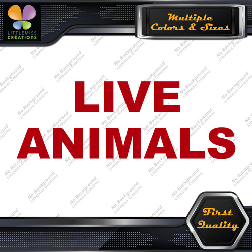 Live animals letters lines - letters, 2