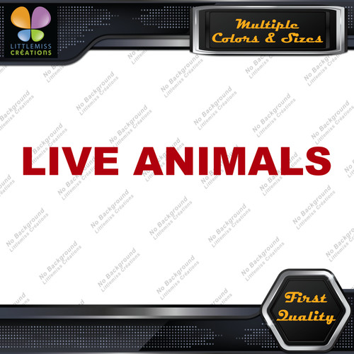 Live animals full - animals,