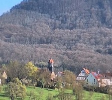 Motolug HD Klapphänger